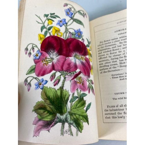 234 - Antique books on flowers, Wild Flowers by Anne Prat , 1857 illustrated cloth bound editions Vol 1+2,... 