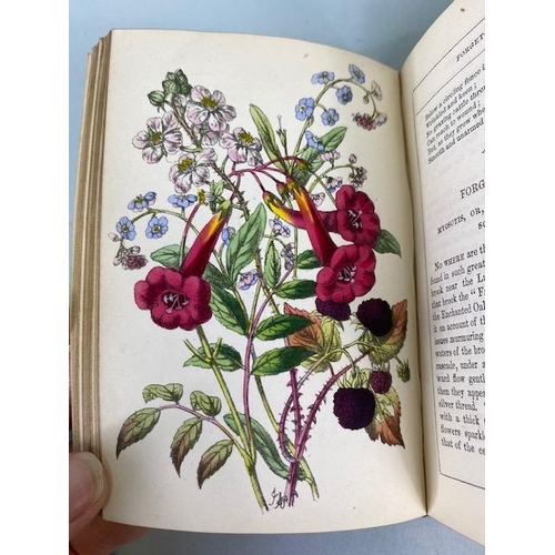 234 - Antique books on flowers, Wild Flowers by Anne Prat , 1857 illustrated cloth bound editions Vol 1+2,... 