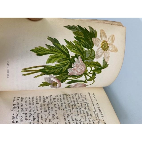 234 - Antique books on flowers, Wild Flowers by Anne Prat , 1857 illustrated cloth bound editions Vol 1+2,... 