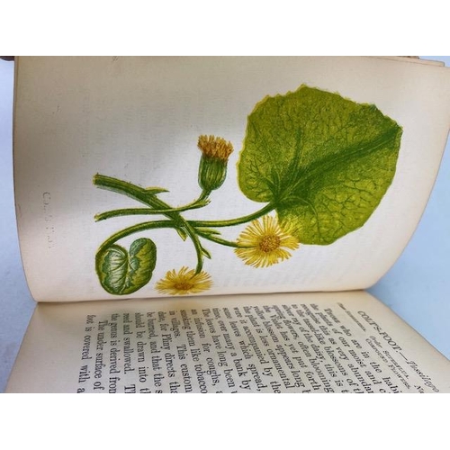 234 - Antique books on flowers, Wild Flowers by Anne Prat , 1857 illustrated cloth bound editions Vol 1+2,... 