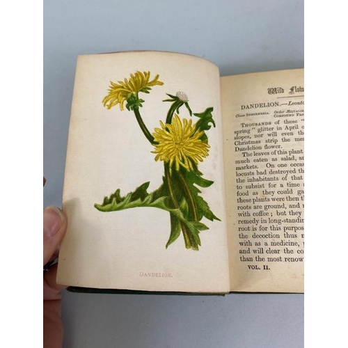 234 - Antique books on flowers, Wild Flowers by Anne Prat , 1857 illustrated cloth bound editions Vol 1+2,... 