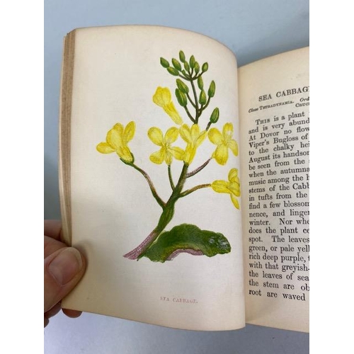 234 - Antique books on flowers, Wild Flowers by Anne Prat , 1857 illustrated cloth bound editions Vol 1+2,... 