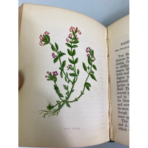 234 - Antique books on flowers, Wild Flowers by Anne Prat , 1857 illustrated cloth bound editions Vol 1+2,... 