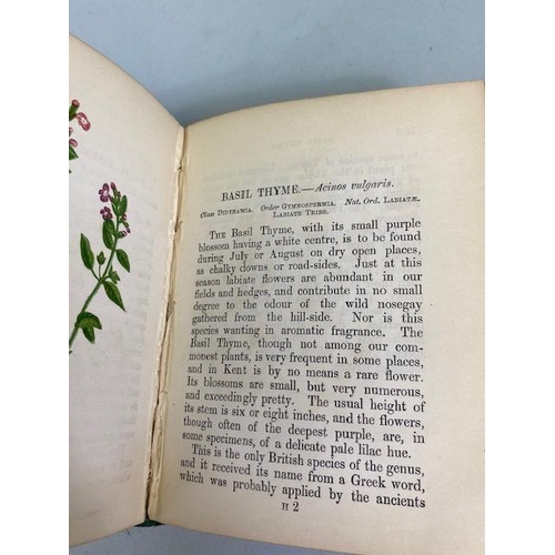 234 - Antique books on flowers, Wild Flowers by Anne Prat , 1857 illustrated cloth bound editions Vol 1+2,... 