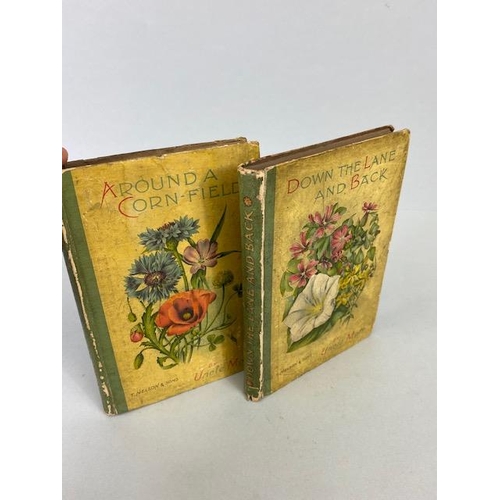 234 - Antique books on flowers, Wild Flowers by Anne Prat , 1857 illustrated cloth bound editions Vol 1+2,... 