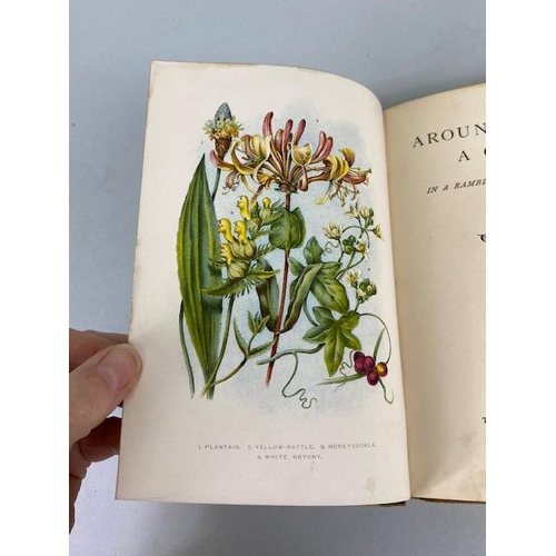 234 - Antique books on flowers, Wild Flowers by Anne Prat , 1857 illustrated cloth bound editions Vol 1+2,... 