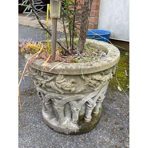 304 - Concrete garden planter with mature shrub