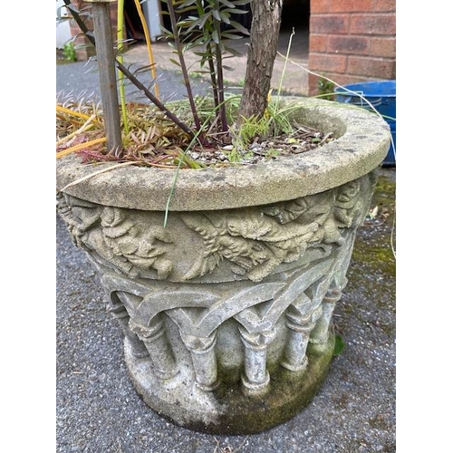 304 - Concrete garden planter with mature shrub