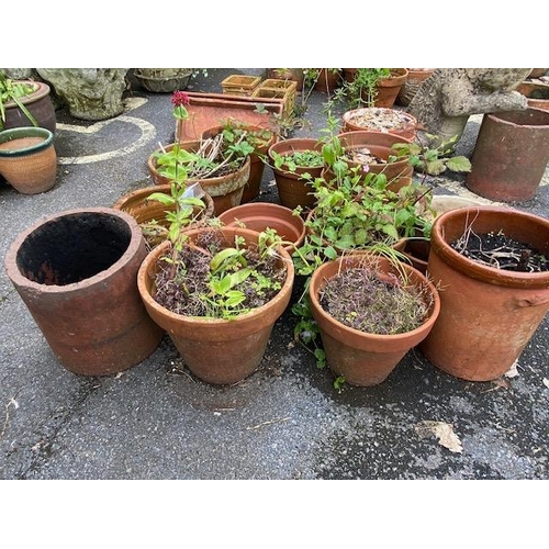 316 - Large collection of garden terracotta pots, approx 18