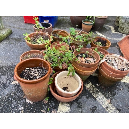 316 - Large collection of garden terracotta pots, approx 18