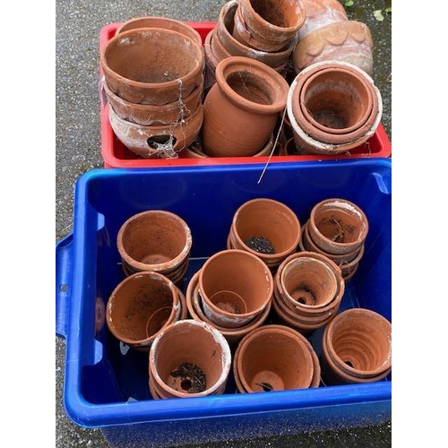 318 - Large collection of garden terracotta pots, over two boxes