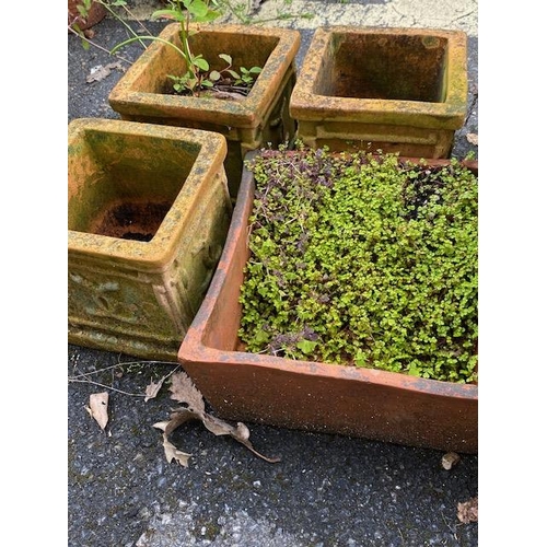 323 - Collection of vintage garden terracotta pots