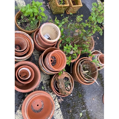 328 - Large collection of mostly terracotta pots