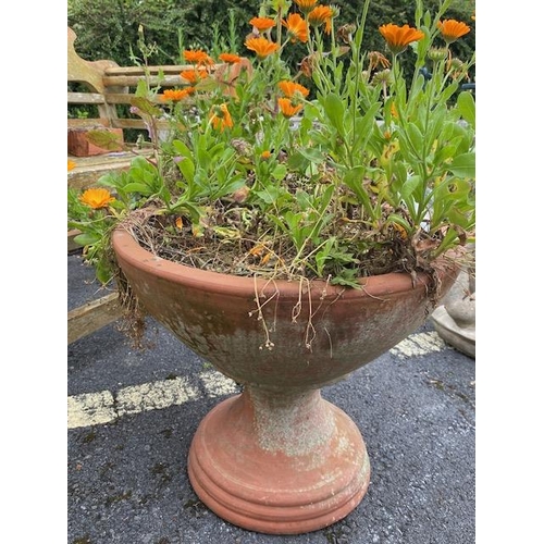 331 - Terracotta garden planter, approx 43cm tall