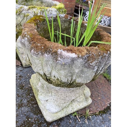 339 - Pair of concrete garden planters on plinths, approx 42cm tall