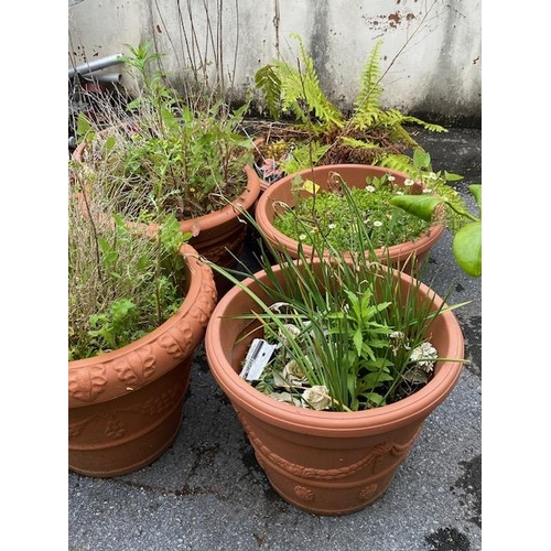 362 - Collection of eight terracotta style garden planters (plastic), including plants