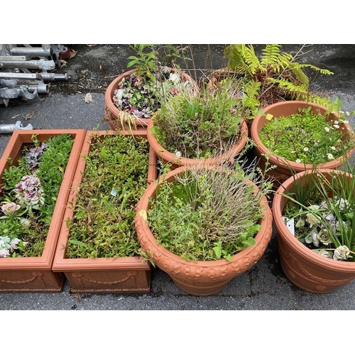 362 - Collection of eight terracotta style garden planters (plastic), including plants