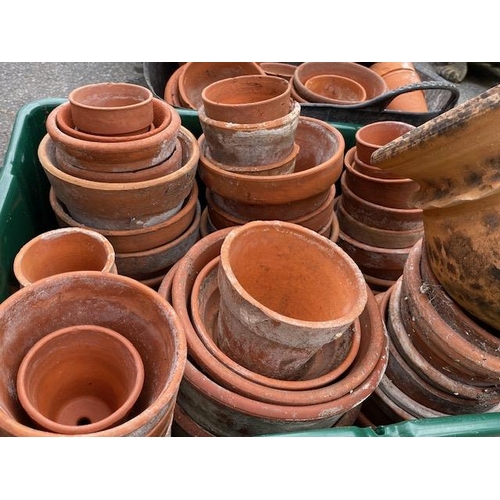 365 - Large collection of terracotta garden pots