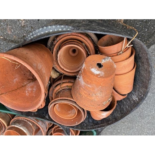 365 - Large collection of terracotta garden pots