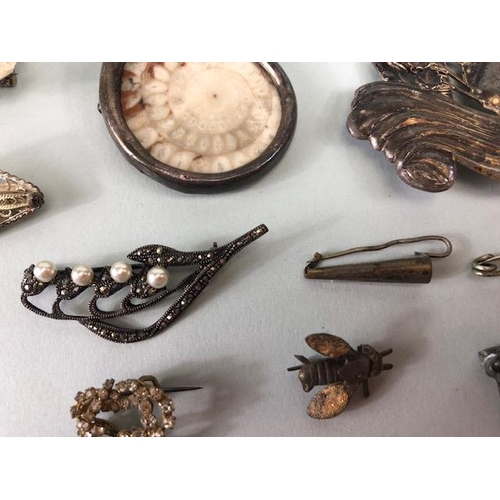 89 - Vintage costume jewellery, collection of antique and vintage brooches, to include silver, fossils, p... 