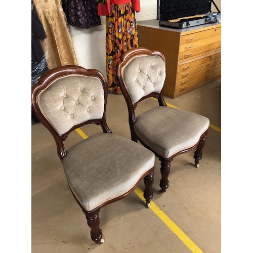 243 - Antique furniture, pair of mahogany framed balloon back chairs, on ceramic casters, re-upholstered i... 