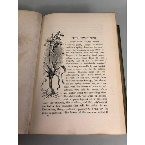 147 - Antique and collectors books on flowers, botanicals, The Botanic Garden, B. Maund FLS, London 1831, ... 