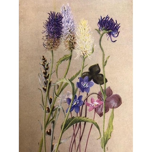 147 - Antique and collectors books on flowers, botanicals, The Botanic Garden, B. Maund FLS, London 1831, ... 