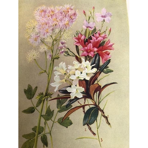 147 - Antique and collectors books on flowers, botanicals, The Botanic Garden, B. Maund FLS, London 1831, ... 