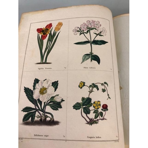 147 - Antique and collectors books on flowers, botanicals, The Botanic Garden, B. Maund FLS, London 1831, ... 