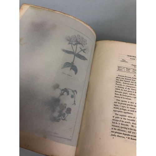 147 - Antique and collectors books on flowers, botanicals, The Botanic Garden, B. Maund FLS, London 1831, ... 