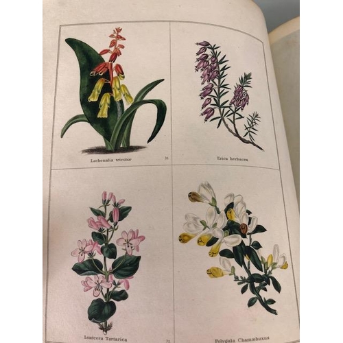 147 - Antique and collectors books on flowers, botanicals, The Botanic Garden, B. Maund FLS, London 1831, ... 