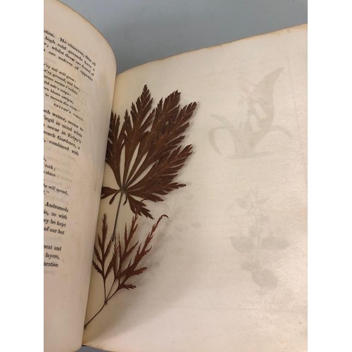 147 - Antique and collectors books on flowers, botanicals, The Botanic Garden, B. Maund FLS, London 1831, ... 