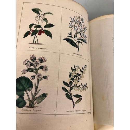 147 - Antique and collectors books on flowers, botanicals, The Botanic Garden, B. Maund FLS, London 1831, ... 