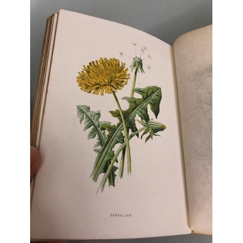 147 - Antique and collectors books on flowers, botanicals, The Botanic Garden, B. Maund FLS, London 1831, ... 