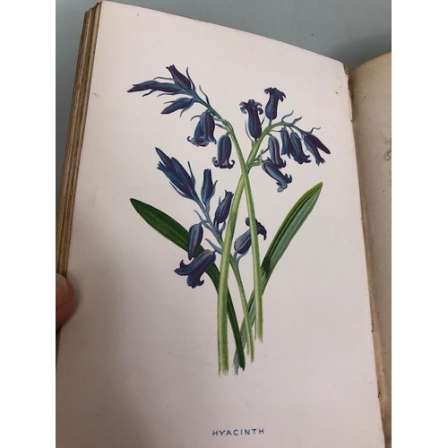 147 - Antique and collectors books on flowers, botanicals, The Botanic Garden, B. Maund FLS, London 1831, ... 