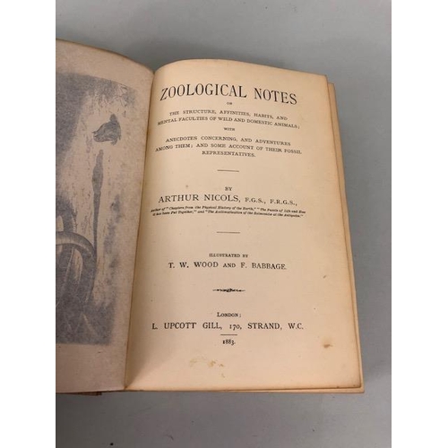 148 - Antique books Natural history, Entomology,  Louis Figuier The Insect world 1868, British wild Animal... 