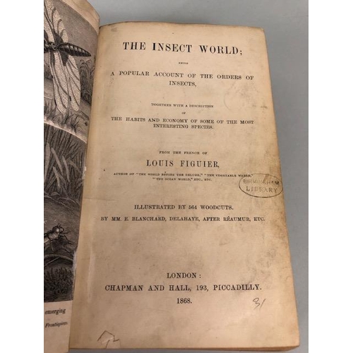 148 - Antique books Natural history, Entomology,  Louis Figuier The Insect world 1868, British wild Animal... 