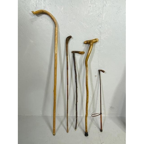 169 - Collection of various walking sticks and a riding crop (5)