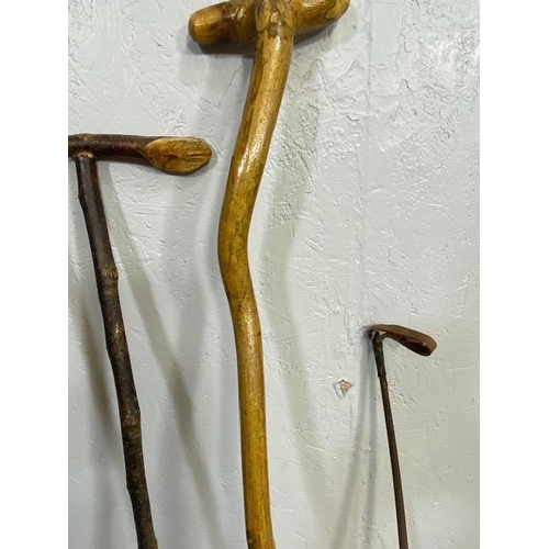 169 - Collection of various walking sticks and a riding crop (5)