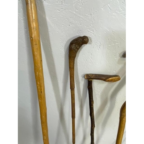 169 - Collection of various walking sticks and a riding crop (5)