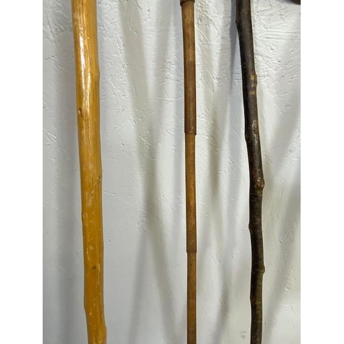 169 - Collection of various walking sticks and a riding crop (5)