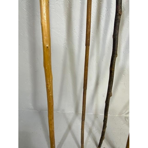 169 - Collection of various walking sticks and a riding crop (5)