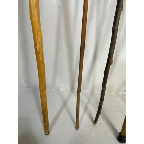 169 - Collection of various walking sticks and a riding crop (5)