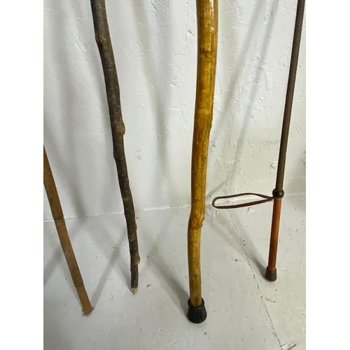 169 - Collection of various walking sticks and a riding crop (5)