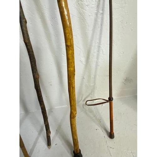 169 - Collection of various walking sticks and a riding crop (5)