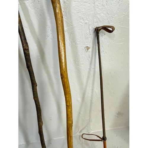 169 - Collection of various walking sticks and a riding crop (5)