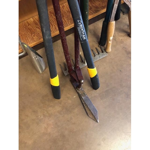 225 - Collection of Garden tools