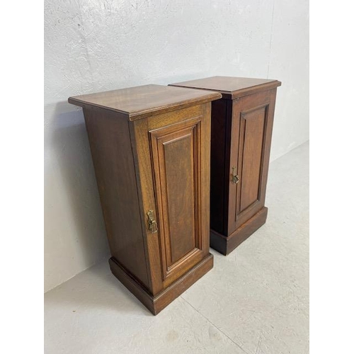 238 - Antique Furniture, 19th century tall bedside  pot cupboards each approximately 35 x 35 x 75cm