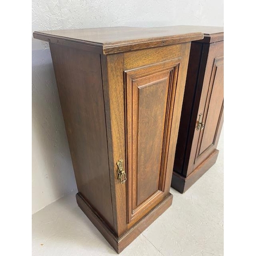 238 - Antique Furniture, 19th century tall bedside  pot cupboards each approximately 35 x 35 x 75cm