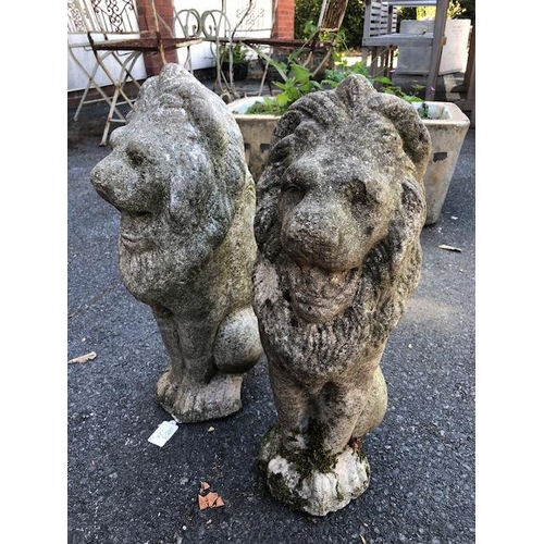 288 - Pair of Garden statues of seated Lions approx 48cm tall (2)